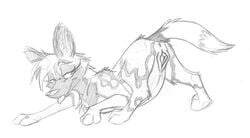 1girls african_wild_dog anus canine canine_pussy digitigrade female female_only feral furry monochrome pregnant pussy sketch solo xpfoddball