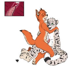 canine color cum dingo feline furry furry_only gay male questionable_anatomy snow_leopard zorusky