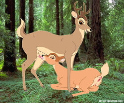 bambi_(character) bambi_(film) cervine deer disney faline fellatio female feral hooves male oral oral_sex penis pussy sex testicles theother