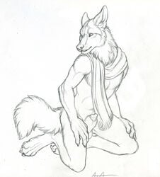 1boy 2010 anthro balls canine canine_penis fur furry male male_only november nude penis rukis scarf sheath sketch solo wolf