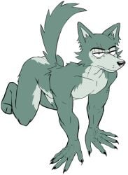 all_fours arched_back ass ass_out beastars camberally furry hands_on_ground legoshi_(beastars) looking_at_viewer naked nude on_knees tagme tail_up white_background wolf