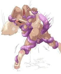 ditto from nintendo