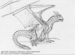 1boy black_and_white cum draco dragon dragonheart feral male male_only masturbation monochrome penis scalie solo strecno wings