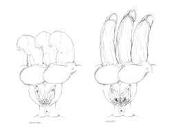 1maleherm anatomy anus ass balls ballsack big_penis commission_art cuntboy drognarus erect erect_penis erection excessive_foreskin flaccid flaccid_penis foreskin foreskin_folds foreskin_overhang full-package_cuntboy fully_retracted_foreskin herm hermaphrodite human humanoid humanoid_penis inner_foreskin intersex long_foreskin maleherm maleherm_focus maleherm_only monochrome multi_balls multi_genitalia multi_penis multi_pussy penis piercing pussy pussy_piercing retracted_foreskin scrotum self_upload sketch sketch_page solo solo_focus source_request testicles triphallia uncircumcised uncut unretracted_foreskin veiny_penis yonsan