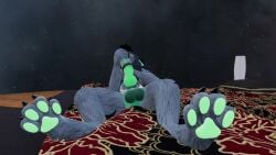 3d animal_genitalia animal_genitals animal_penis animated anthro anthro_only balls canid canine canine_genitalia canine_genitals canine_penis fur furry furry_only green_pawpads green_penis grey_fur knot laying laying_down laying_on_back male male_anthro male_only mp4 no_sound pawpads paws penis rexouium screenshot sex_toy sole_male tagme video vr_media vrchat