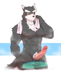 abs anthro balls biceps black_body black_fur blush bodily_fluids body_hair canid canine canis chest_hair clothed clothing clothing_pull cotton_(artist) domestic_dog edit embarrassed erection front_view fur genitals humanoid_genitalia humanoid_penis male male_focus male_only mammal multicolored_body multicolored_fur muscular muscular_anthro muscular_male nipples nitobe nude partially_clothed pecs penis pink_nipples pink_penis portrait pubes seductive simple_background solo standing sweat three-quarter_portrait topless towel towel_around_neck two_tone_body two_tone_fur uncensored underwear underwear_down underwear_pull undressing vein veiny_penis white_body white_fur