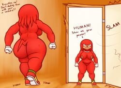 anthro ass big_butt breasts echidna female genitals hi_res imminent_sex knuckles_the_echidna mammal monotreme mtf_crossgender nipples opening_door oystercatcher7 pussy rule_63 sega solo sonic_(series) sonic_the_hedgehog_(series) thick_thighs wide_hips