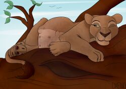 absurd_res branch disney felid feline female feral hi_res lazy lion log mammal nala nipples pantherine pawpads plant pregnant pregnant_female shaded sky sleeping solo tail_tuft teats the_lion_king tree tuft wood xenopony456