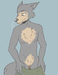 andromorph anthro beastars bodily_fluids canid canine canis chest_tuft clawed_hands clitoris cuntboy cuntboy_only enlarged_clitoris genital_fluids genitals intersex legoshi_(beastars) looking_aside mammal mastectomy_scar pubes pulling_down_shorts pussy_juice scar sigh solo trauma-punk tuft wolf