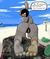 3_toes anthro anus ass beach blush bodily_fluids canid canine canis cherrufox clothing detailed_background dirty_feet domestic_dog embarrassed emo english_text feet female fish_(cherrufox) flip_flops footwear fur genitals hair hi_res humanoid_feet jesse_"fact_dog"_(the_fact_dog) lagomorph leporid looking_back mammal nude outside pubes pussy rabbit sandals sea seaside sky soles solo sweat text toes towel water wrinkled_feet