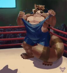 1boy anthro archiblender clothing crowd fighting_ring group hi_res ludd male mammal musclegut muscular overweight procyonid raccoon solo solo_male torn_clothing wrestling_singlet