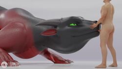 2boys 3d animated animation blender_(software) blowjob crimson_(crimsoncreaturecreations) crimsoncreaturecreations deep_throat dragon fellatio fellatio_from_feral feral feral_penetrated furry green_eyes growling hand_on_face human human_on_feral human_on_male human_penetrating light-skinned_male longer_than_30_seconds male male/male male_on_feral male_only mammal oral oversized_fellatio oversized_oral scalie sound sound_effects sound_warning sехual video western_dragon wingless_dragon zoophilia