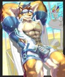 abs anthro barrel_(live-a-hero) beachside blep bottomwear canid canine canis clothing eyewear flaccid genitals goggles lifewonders live-a-hero male male_focus male_only mammal muscular muscular_anthro muscular_male muscular_thighs nipples pecs penis raised_arms shorts solo swimwear tongue tongue_out video_games violetayukimura wolf