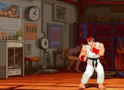 animated anthro big_ass big_breasts breasts bubble_butt female huge_ass mp4 pixel_art ryu_(street_fighter) shenzel sound street_fighter tagme video