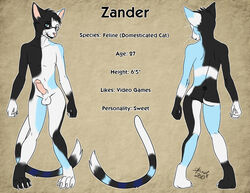 1boy 2010 balls color erection feline furry glasses herraardy looking_at_viewer male male_only model_sheet penis sheath solo zander