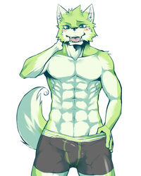 1boy black_underwear bulge canine kenn male male_only muscles solo topless underwear wolf