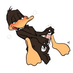 1boy anthro anthro_only cloaca cuntboy daffy_duck hitachi_magic_wand intersex looney_tunes male_only masturbating masturbation no_humans soft_feathers solo solo_focus solo_male vibrator vibrator_on_pussy warner_brothers zehn