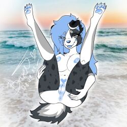 absurd_res anthro anus areola ass australian_shepherd beach big_breasts blep blue_areola blue_hair blue_nipples breasts butt_grab canid canine canis charlotte_star claws domestic_dog eyelashes eyeshadow female fur genitals grey_eyes hair hand_on_butt herding_dog hi_res karma_ryu leg_markings legs_in_air legs_up makeup mammal markings narrowed_eyes nipples pastoral_dog pawpads paws pussy sand seaside sheepdog smile solo spots spotted_body spotted_fur spotted_markings spread_legs spreading thick_thighs tongue tongue_out water