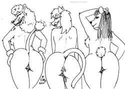 2022 after_sex anthro ass bedroom_eyes black_and_white bodily_fluids breasts canid canine canis cum cum_in_pussy cum_inside domestic_cat domestic_dog felid feline felis female fur genital_fluids genitals group hair licking licking_lips looking_at_viewer looking_back looking_back_at_viewer mammal monochrome narrowed_eyes open_mouth poodle pussy rear_view scut_tail seductive short_tail tegerio tongue tongue_out trio ursid