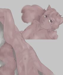 absurd_res anthro brown_body brown_eyes brown_fur brown_hair domestic_cat felid feline felis fluffy fluffy_tail fur girly hair hi_res lying male mammal nonplussed nude solo