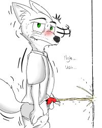 absurd_res anthro blush bodily_fluids bottomwear bottomwear_down canid canine clothed clothing desperation disney eye_veins fox genital_fluids genitals hi_res holding_penis illegaleel male mammal nervous nick_wilde omorashi pants pants_down partially_clothed pee_desperation pee_shivers peeing peeing_on_wall penis relieved shaking solo sweat urine urine_stream zootopia