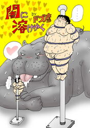 Anthro Rule 34 Image
