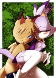 anthro bbmbbf blaze_the_cat blush breasts cat closed_eyes color feline female fur furry glasses kissing male mammal nancher nipples nude open_mouth penetration penis purple pussy sega sex sonic_(series) sonic_the_hedgehog_(series) stockings straight tail tongue vaginal_penetration