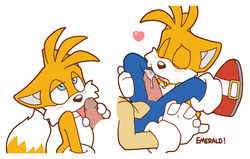 sonic the hedgehog from sega by emerald-physics
