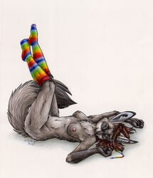 2010 bat-eared_fox black blue_eyes breasts brown brown_hair chest_tuft colorful face_markings female footwear hair knee_socks legs_up long_hair looking_at_viewer nipples nude on_back rainbow rainbow_socks silentravyn socks solo tail white_background