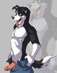 anthro black_fur black_nose blue_eyes border_collie canine chest_tuft clothes color dog eli erection fur furry furry_ears furry_tail glans humanoid_penis jailbird looking_at_viewer looking_left male male_only open_mouth pants pants_down penis pointy_ears side_view solo standing tail testicles tongue topless white_fur zoom_layer