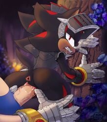 1boy 1cuntboy against_surface against_wall anthro anus armor arrow_hearted bodily_fluids cuntboy drooling duo genital_fluids genitals intersex intersex/male looking_back male pussy saliva sega shadow_the_hedgehog sir_lancelot_(sonic_and_the_black_knight) sonadow sonic_(series) sonic_and_the_black_knight sonic_storybook_series sonic_the_hedgehog sonic_the_hedgehog_(series) vaginal_penetration