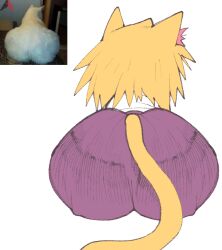 ass big_ass cat cat_ears cat_tail catgirl clothed clothing female inkuusan meme neco-arc neko reference_image tsukihime type-moon yellow_hair