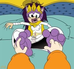 feet foot_fetish furry queen_aleena sonic_(series) sonic_the_hedgehog_(series) tickle_torture tickling unseen_male_face