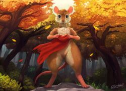 anthro big_ears blue_eyes brown_body cape chest_tuft clothing don_bluth eyelashes female flat_chested forest genitals glistening glistening_genitalia grass hairless_feet hairless_hands hairless_pussy hairless_tail hi_res holding_object leaf looking_at_viewer looking_down looking_down_at_viewer mammal mouse mrs._brisby murid murine pink_ears pink_nose plant pussy robe rock rodent shrub sky solo standing the_secret_of_nimh thick_thighs tree tuft whiskers zimabel
