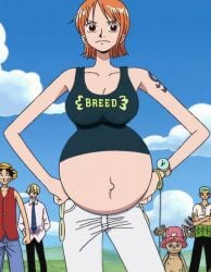 1girls artist_request belly big_belly big_breasts breasts edit female hyper_belly long_ring_long_land male nami one_piece orange_hair pre-timeskip pregnant screenshot_edit