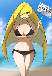 lusamine (pokemon) from game freak by urokozame