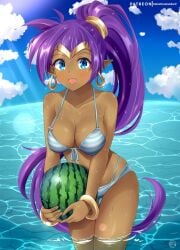 1girls bikini blue_bikini blue_eyes bracelet breasts clouds earrings female female_only front-tie_bikini genie half_genie helvetica_std hoop_earrings in_water large_breasts long_ponytail open_mouth outside ponytail purple_hair shantae shantae_(character) smooth_skin solo striped_bikini swimsuit water watermelon wayforward