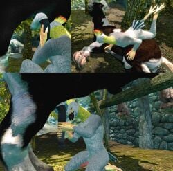 animal animal_genitalia animal_penis anthro anthro_on_feral anus ass avian balls beak bestiality bird butt duo equine equine_penis feathers feral feral_on_anthro gay gay_sex genitals horse horse_penis horsecock li3beslied male male/male masturbation on_side outside sex sitting skyrim sucking_testicles tail the_elder_scrolls tree zoophilia