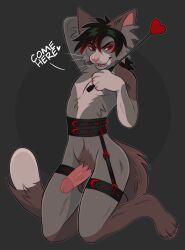 anthro balls black_belt black_hair brown_balls brown_body brown_ears brown_fur brown_tail cheek_tuft dialogue dipstick_tail domestic_cat erection facial_tuft fangs felid feline felis fur genitals girly grey_inner_ear_fluff hair hi_res humanoid_genitalia humanoid_penis inner_ear_fluff kneeling leg_markings legband male mammal markings multicolored_hair narrowed_eyes open_mouth penis pink_inner_ear pink_nose pink_penis pink_tongue princelykaden pupils red_eyes red_hair simple_background slit_pupils socks_(marking) solo tail_markings tongue tuft two_tone_hair whip