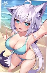 :d ahoge animal_ear_fluff animal_ears arm_up armpits bangs beach bikini blue_bikini blue_eyes blush braid breasts cleavage day deaver ear_piercing female fox_ears fox_girl fox_shadow_puppet fox_tail from_above front-tie_bikini front-tie_top hair_between_eyes halterneck hand_up highres hololive hololive_gamers hololive_gen_1 hololive_japan large_breasts long_hair looking_at_viewer oerba_yun_fang open_mouth outdoors piercing selfie shirakami_fubuki sidelocks single_braid skin_fang smile solo standing string_bikini swimsuit tail very_long_hair virtual_youtuber water white_hair