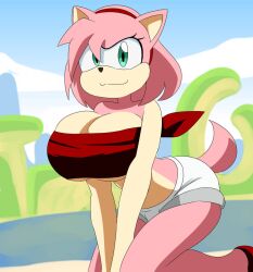 amy rose from sega by artistosoft