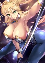 Artoria Pendragon (Lancer) Rule 34 Image
