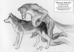 1990s 1996 20th_century 2boys 90s all_fours anal anal_sex ancient_furry_art animal animal_genitalia animal_penis anthro anthro_bestiality anthro_on_feral anthro_penetrating asikaa canine canine_penis copyright_symbol english_text erect_penis erection expressionless feral feral_on_anthro feral_penetrated fur furry furry_only gay handjob handjob_while_penetrated handpaw husky interspecies looking_at_partner looking_away male male_only masturbation monochrome muscular muscular_male neutral_expression panting penis realistic signature signed source_request tail tail_up text tongue tongue_out vintage wolf yaoi zoophilia