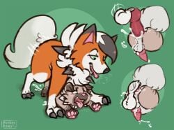 anal balls canine close-up cock cum dick doggy_style doggy_style_position dusk_lycanroc gay_sex knot knotted knotting lycanroc male penis pokeom rockruff size_difference tied wolf