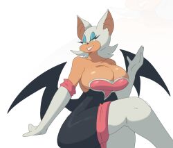 rouge the bat from sega by leedraw11