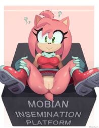 amy rose from sega by cranihum