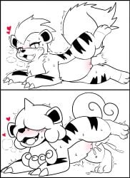 2025 absurd_res balls black_border blush bodily_fluids border canid canine canis claws cum cum_in_vagina cum_inside disembodied_penis female female_penetrated feral feral_penetrated fur generation_1_pokemon generation_8_pokemon genital_fluids genitals group growlithe hair hair_over_eyes hi_res hisuian_form hisuian_growlithe male male/female male_penetrating male_penetrating_female mammal nintendo penetration penile penile_penetration penis penis_in_vagina pokemon pokemon_(species) regional_form_(pokemon) sex sweat tail take_your_pick vaginal_penetration vulva yttriumi2f