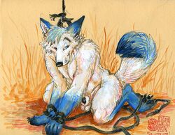 1boy bondage canine canine_penis java male male_only mudshark penis sheath solo whiteyote