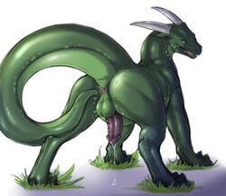 1boy anus ass balls blue_eyes claws cum dragon dripping erection feral green horns lizard male male_only narse nude open_mouth penis precum raised_tail reptile scalie solo tail tojo_the_thief_(character)