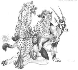 2007 anal antelope balls blotch digitigrade furry furry_only gay hooves hyena male oryx penis snarl tongue unguligrade